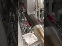 곰팡이 방출 필름