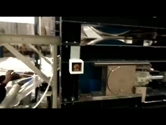 곰팡이 방출 필름