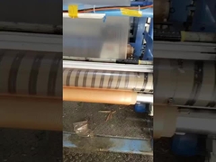 항균 가루로 된 PVA 물 용해 필름